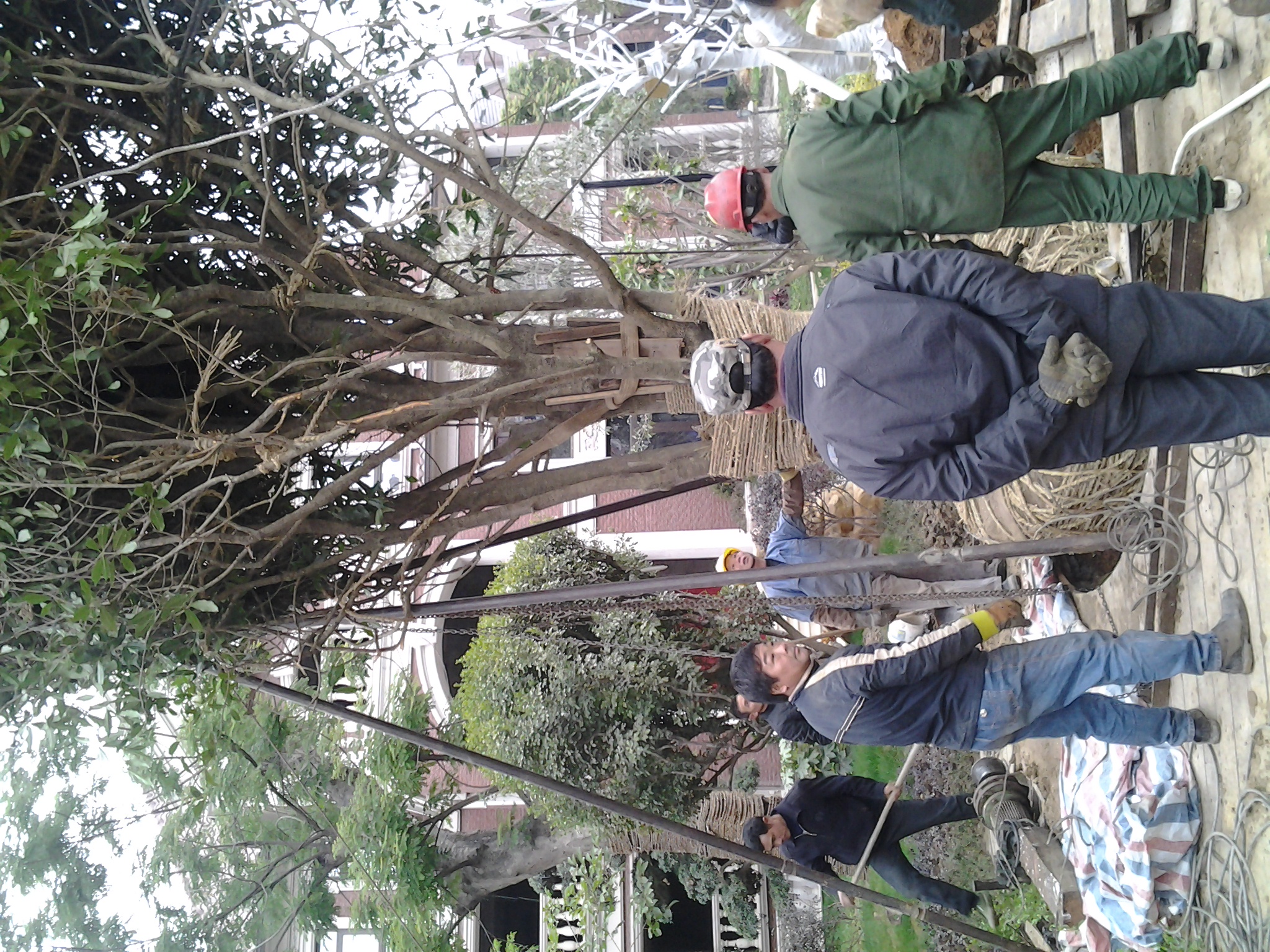 微信图片_20180311215420.jpg 微信图片_20180311215420.jpg