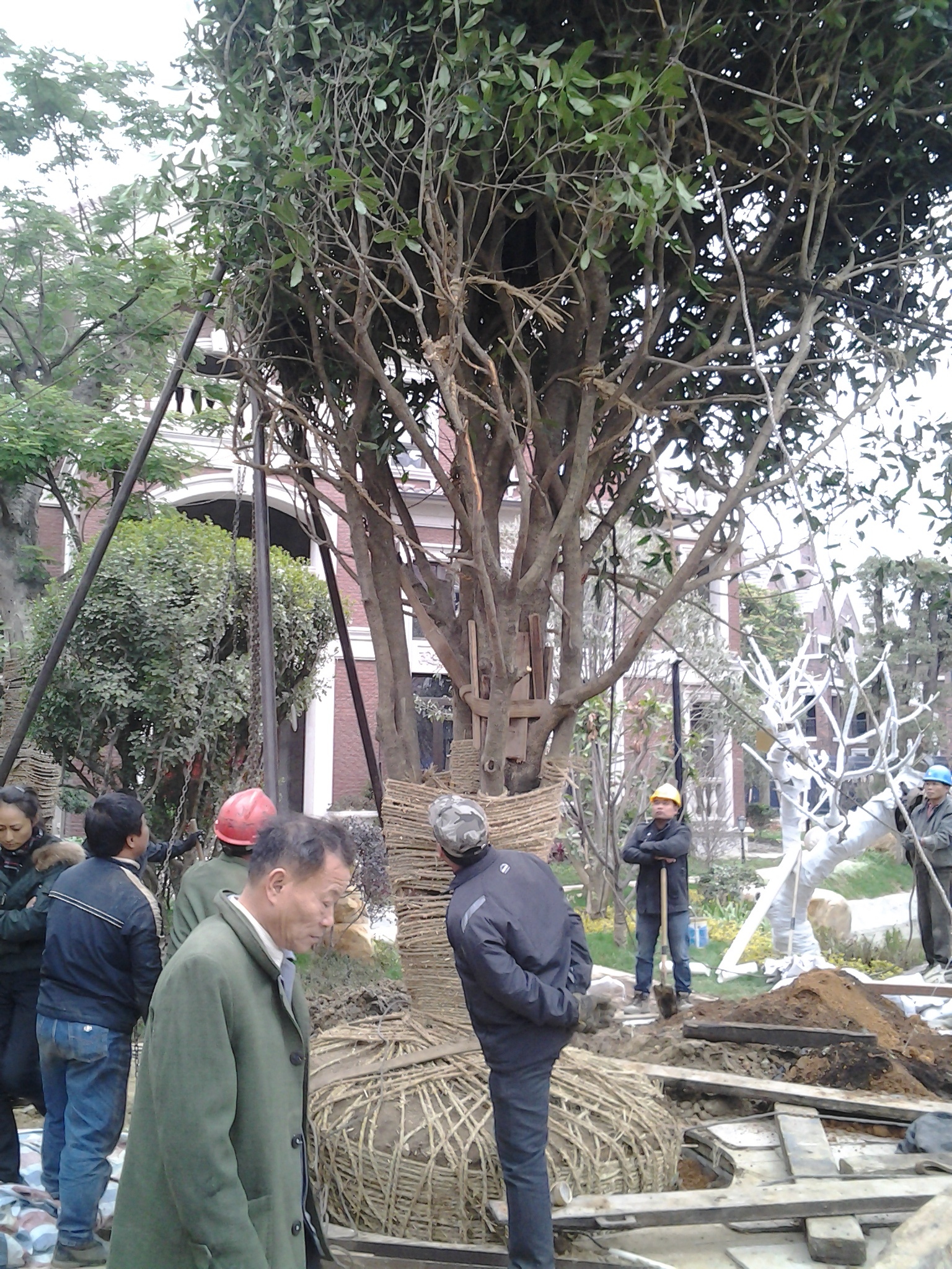 微信图片_20180311215232.jpg 微信图片_20180311215232.jpg