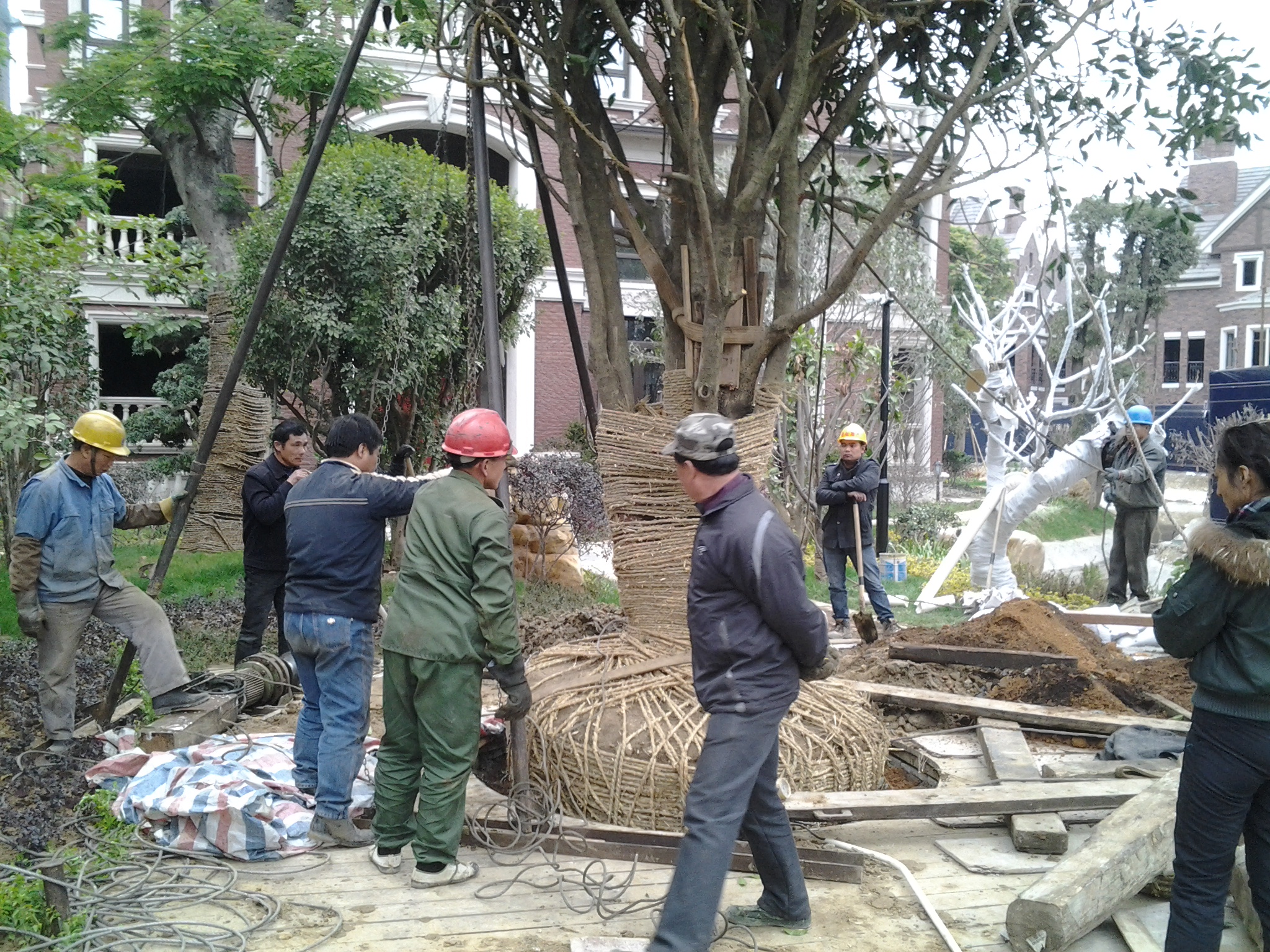 微信图片_20180311215233.jpg 微信图片_20180311215233.jpg