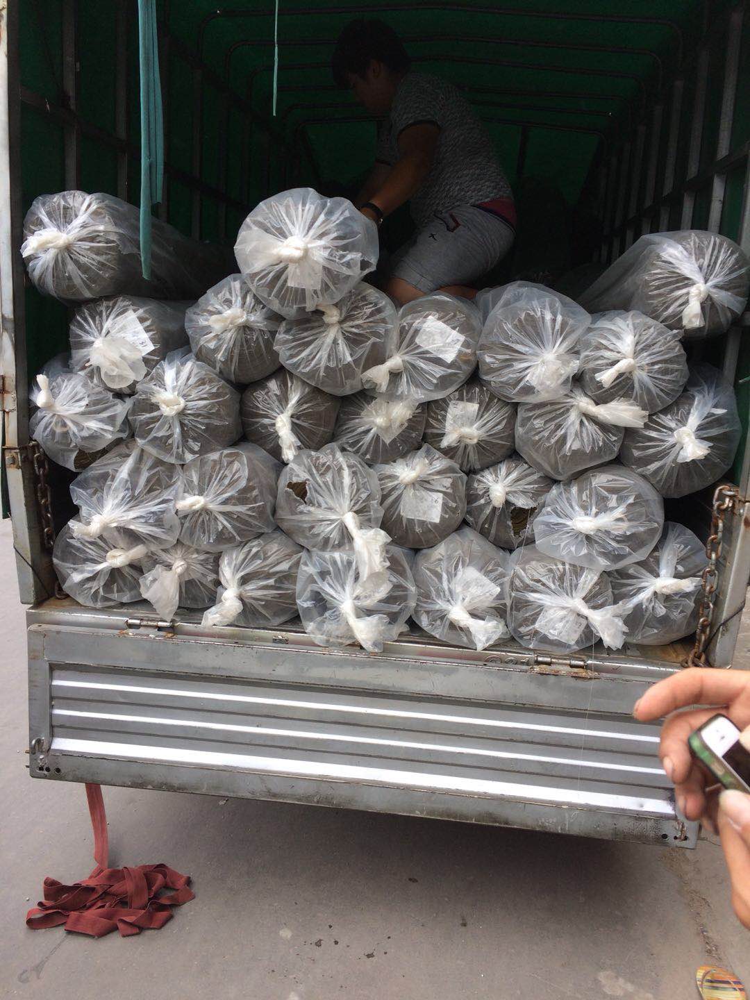 594550406921146235.jpg 594550406921146235.jpg