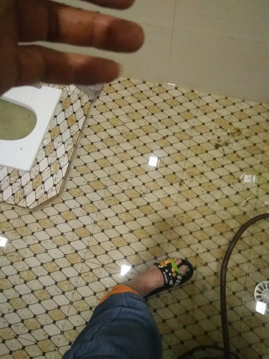 447648410426474117.jpg 447648410426474117.jpg