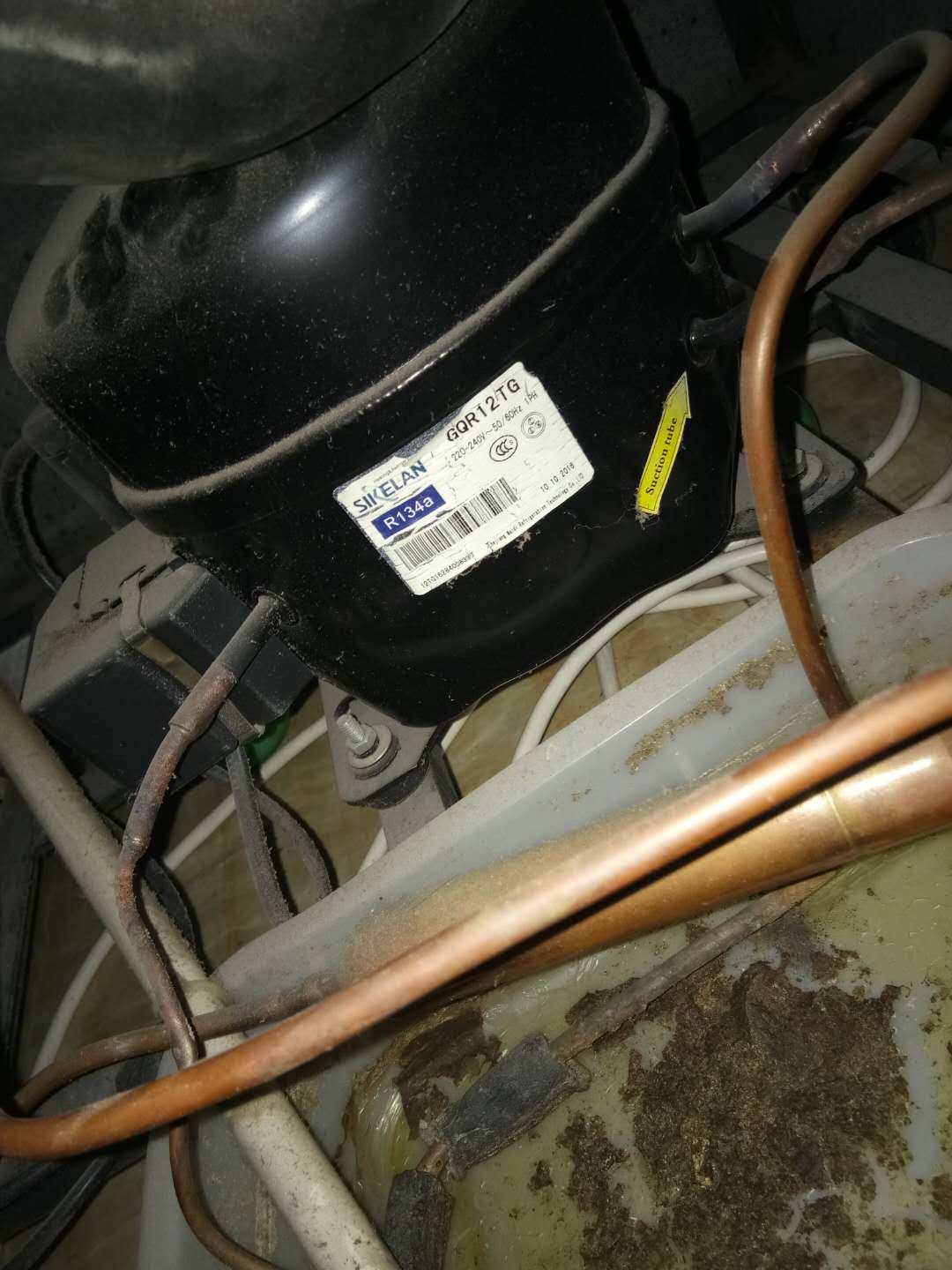 395078561361046964.jpg 395078561361046964.jpg