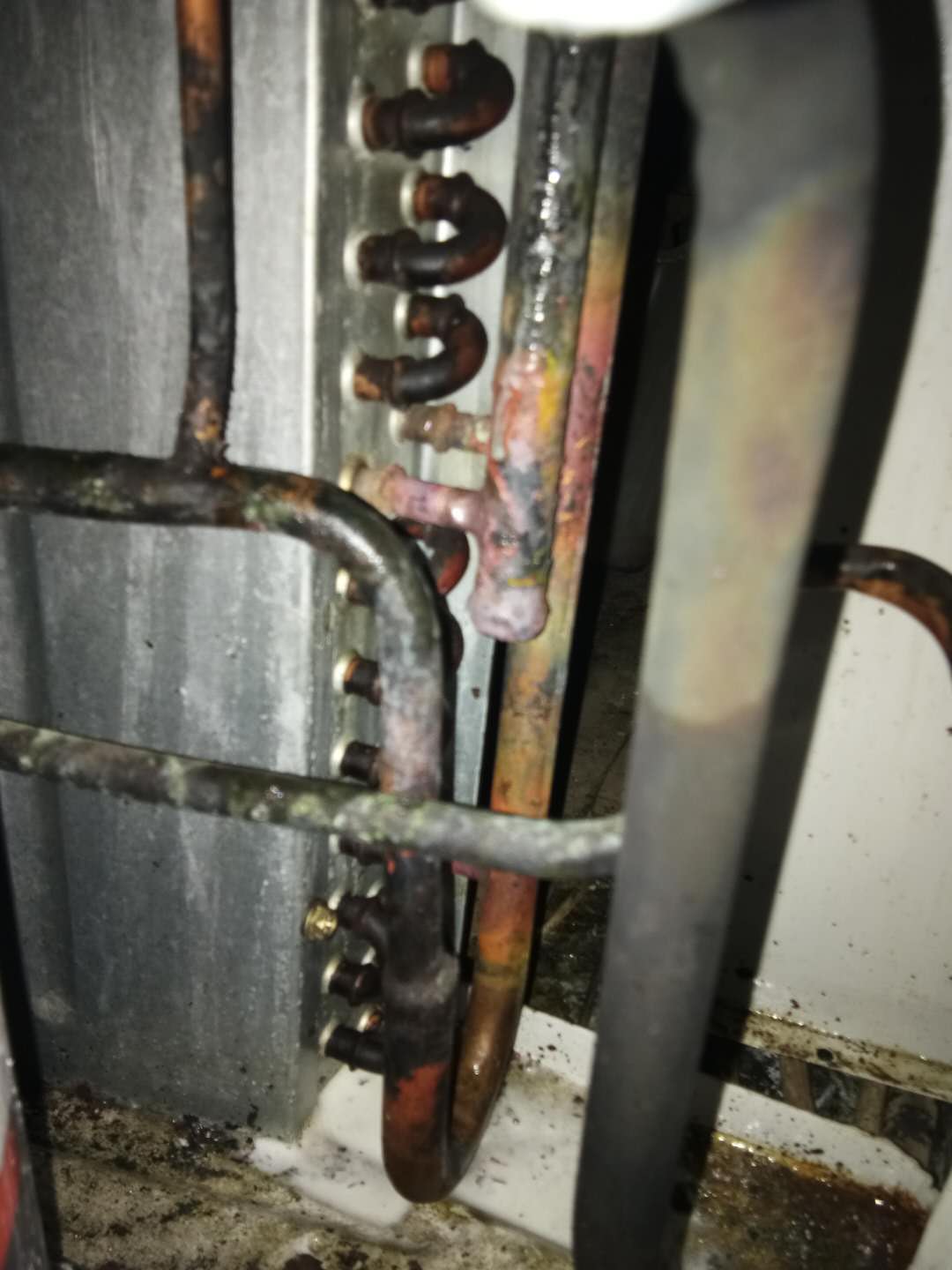 881916404871562702.jpg 881916404871562702.jpg