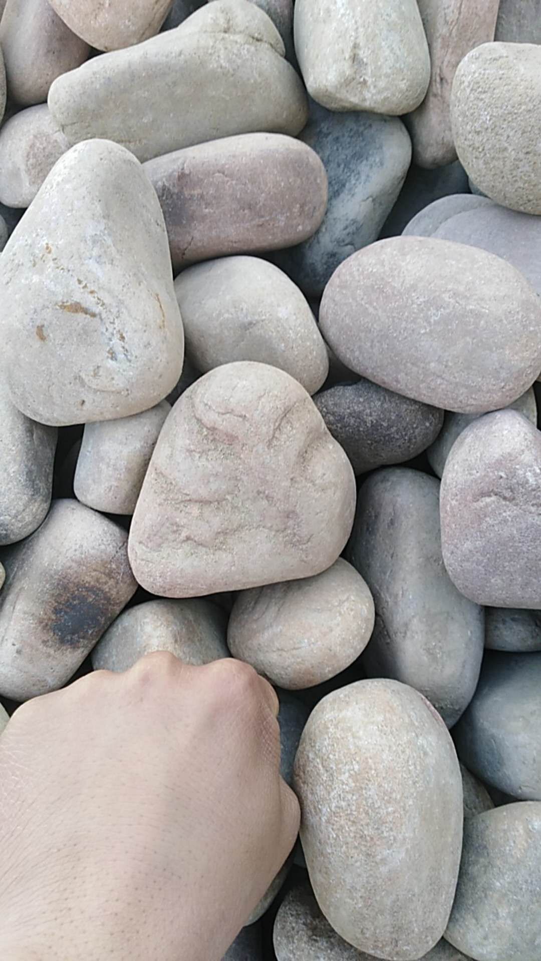 图片mmexport1521587287115.jpg 图片mmexport1521587287115.jpg