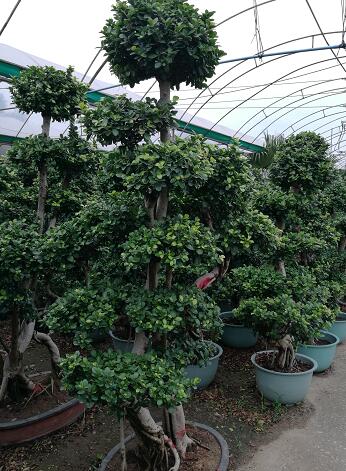 TIM截图20181226165443.jpg TIM截图20181226165443.jpg