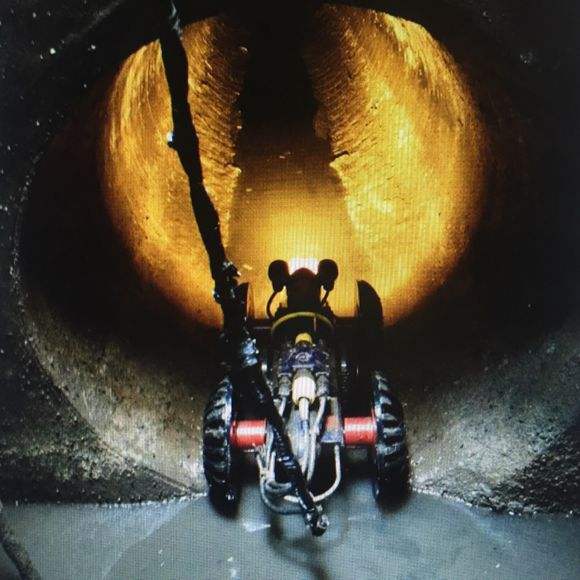 timg (7).jpg timg (7).jpg