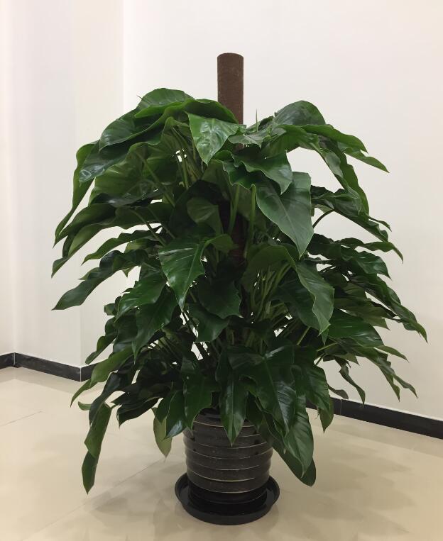 TIM截图20190411133745.jpg TIM截图20190411133745.jpg