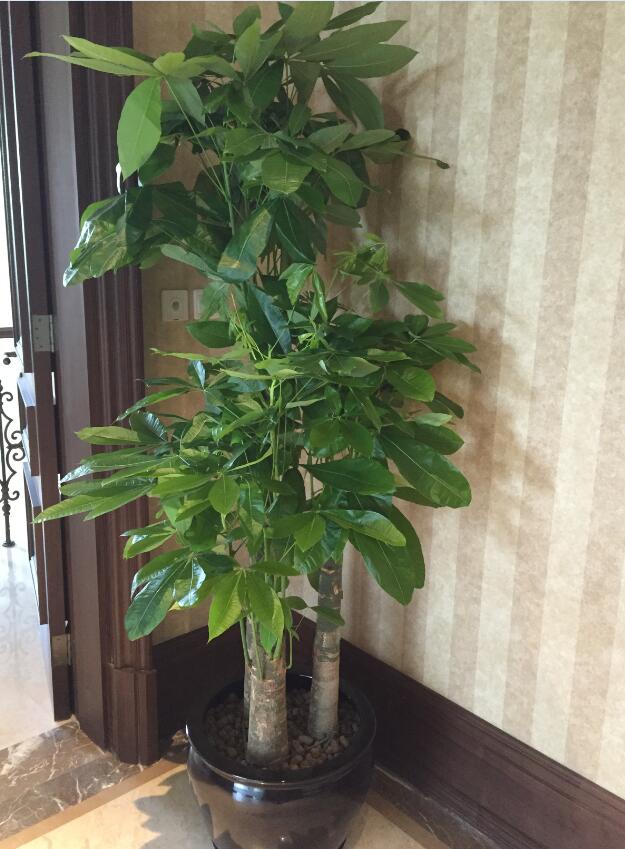 TIM截图20190411133939.jpg TIM截图20190411133939.jpg