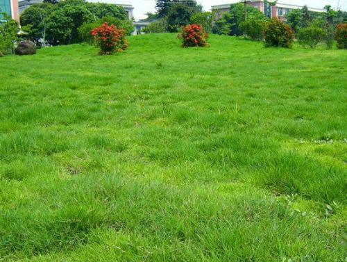 d1752dc219bc2f408d299fc1f473dc38_u=563084883,4260724238&fm=26&gp=0.jpg d1752dc219bc2f408d299fc1f473dc38_u=563084883,4260724238&fm=26&gp=0.jpg