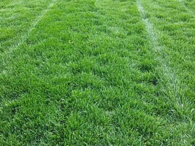 d132e2193636036cbad9e97ff09fc94f_2Q==.jpg d132e2193636036cbad9e97ff09fc94f_2Q==.jpg