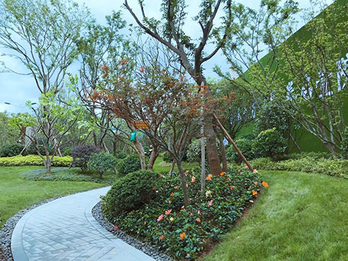 微信图片_20201112131825.jpg 微信图片_20201112131825.jpg