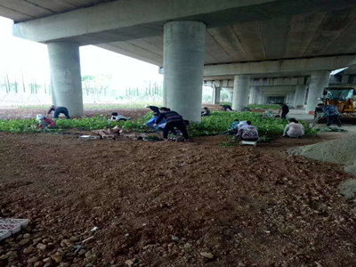 微信图片_20201112131928.jpg 微信图片_20201112131928.jpg