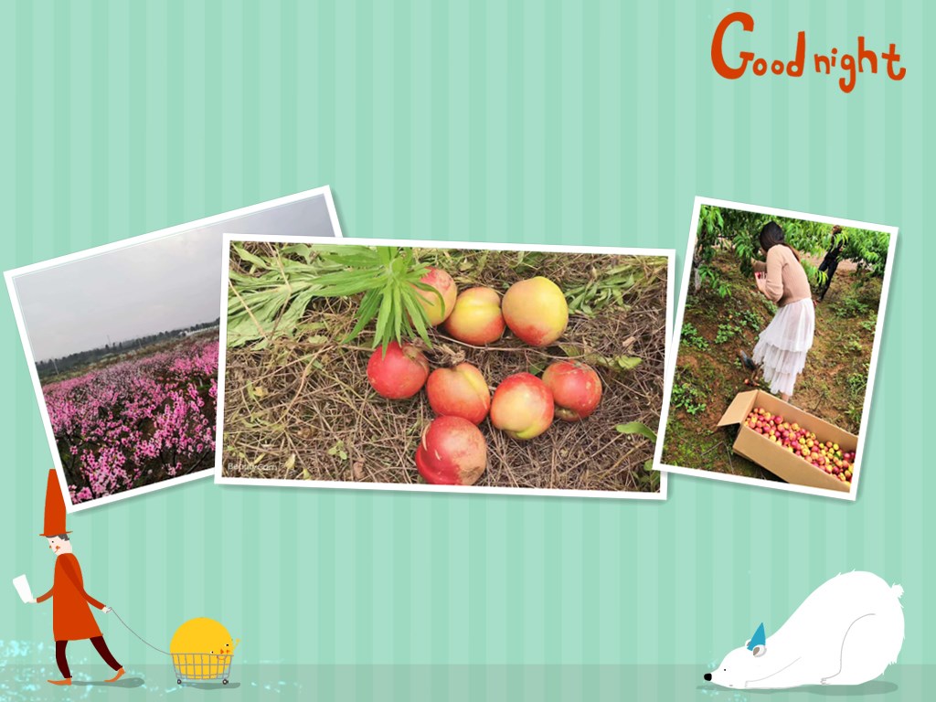 caef76094b36acaf4feaaf0e75d98d1001e99c3d_2.jpg caef76094b36acaf4feaaf0e75d98d1001e99c3d_2.jpg