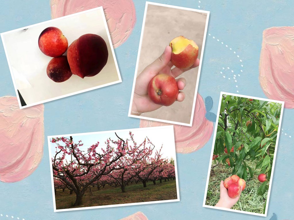 caef76094b36acaf4feaaf0e75d98d1001e99c3d_1.jpg caef76094b36acaf4feaaf0e75d98d1001e99c3d_1.jpg