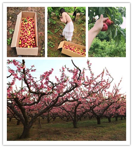 caef76094b36acaf4feaaf0e75d98d1001e99c3d_6.jpg caef76094b36acaf4feaaf0e75d98d1001e99c3d_6.jpg