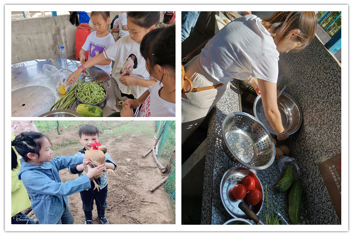 小厨当家1.jpg 小厨当家1.jpg