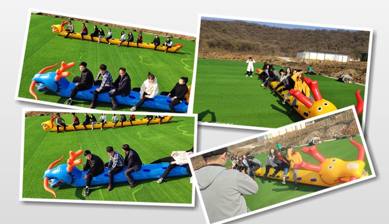 dsg234tr.jpg dsg234tr.jpg