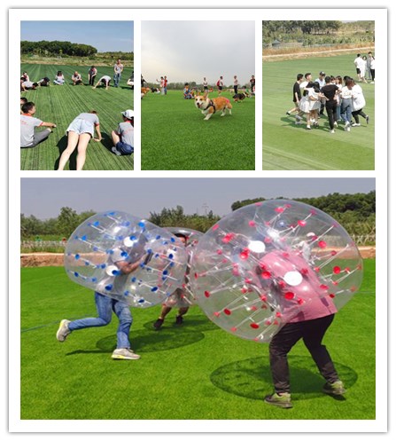 微信图片_20211016165839.jpg 微信图片_20211016165839.jpg