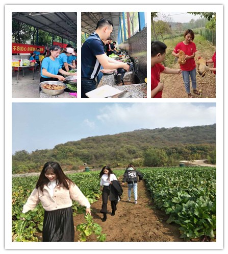 微信图片_202110161719231.jpg 微信图片_202110161719231.jpg