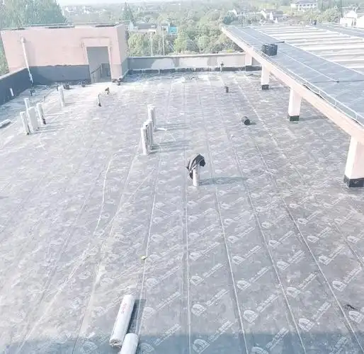楼顶防水 