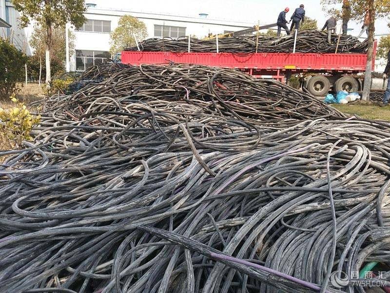 电缆线7.jpg 电缆线7.jpg